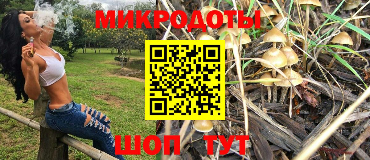 Галлюциногенные грибы Cubensis Тимашёвск