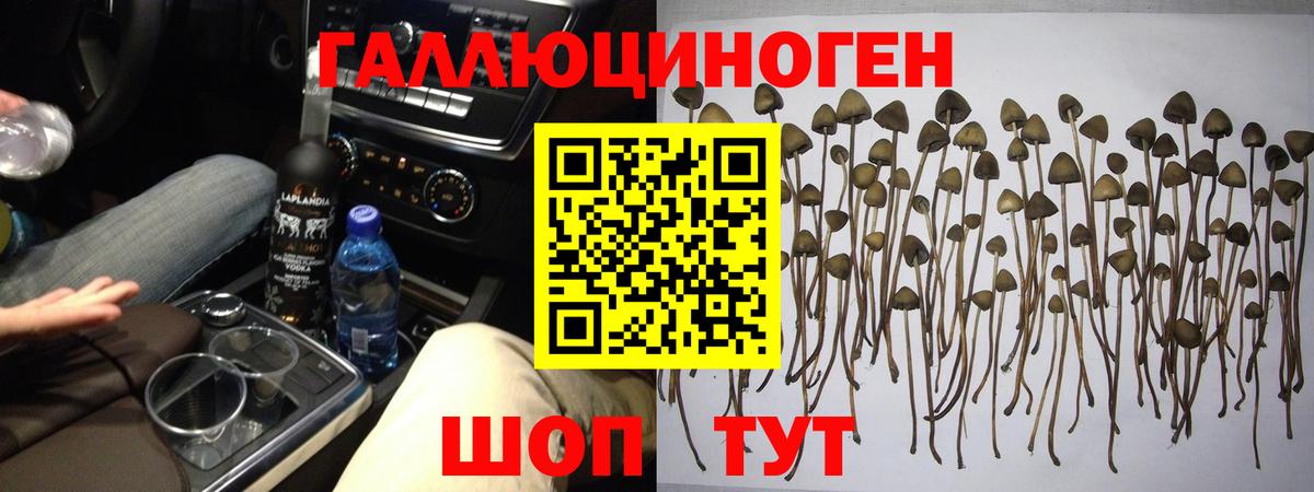 Галлюциногенные грибы GOLDEN TEACHER  наркошоп  Галлюциногенные грибы мухоморы  Тимашёвск  Вход с VPN 